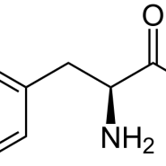اسید آمینه ال فنیل آلانین P5482
