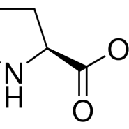 اسید آمینه ال پرولین P5607